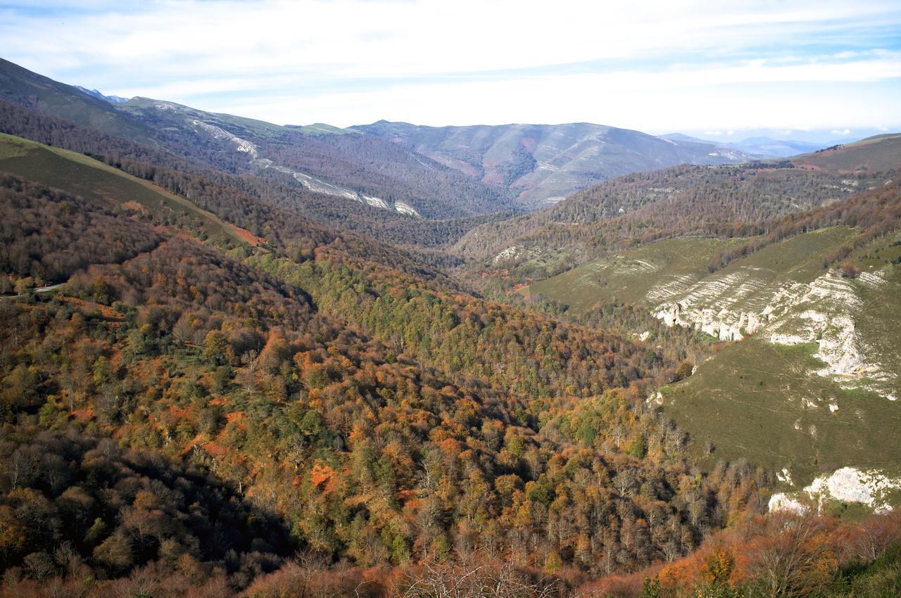 La Infinita Rural Boutique Ξενοδοχείο Carmona  Εξωτερικό φωτογραφία