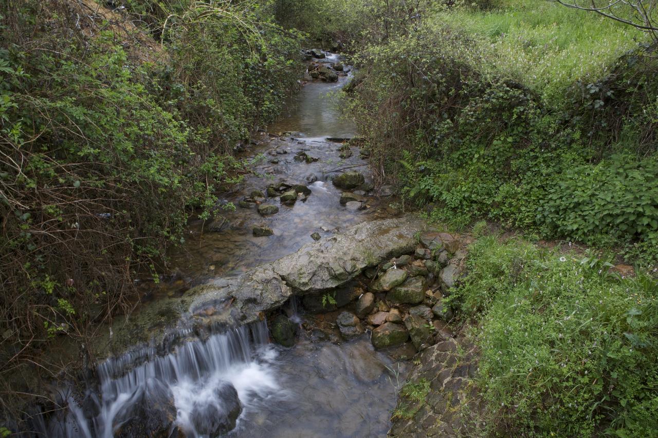 La Infinita Rural Boutique Ξενοδοχείο Carmona  Εξωτερικό φωτογραφία